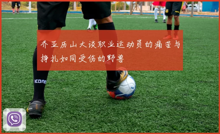 乔亚历山大谈职业运动员的痛苦与挣扎如同受伤的野兽