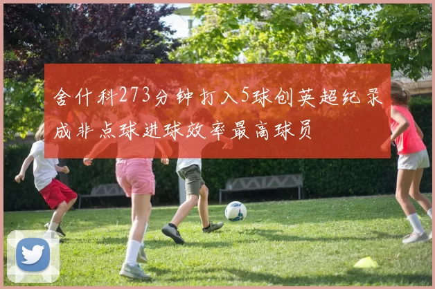 舍什科273分钟打入5球创英超纪录成非点球进球效率最高球员